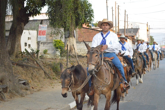 Chegada Romaria Paladino 2015 (51)